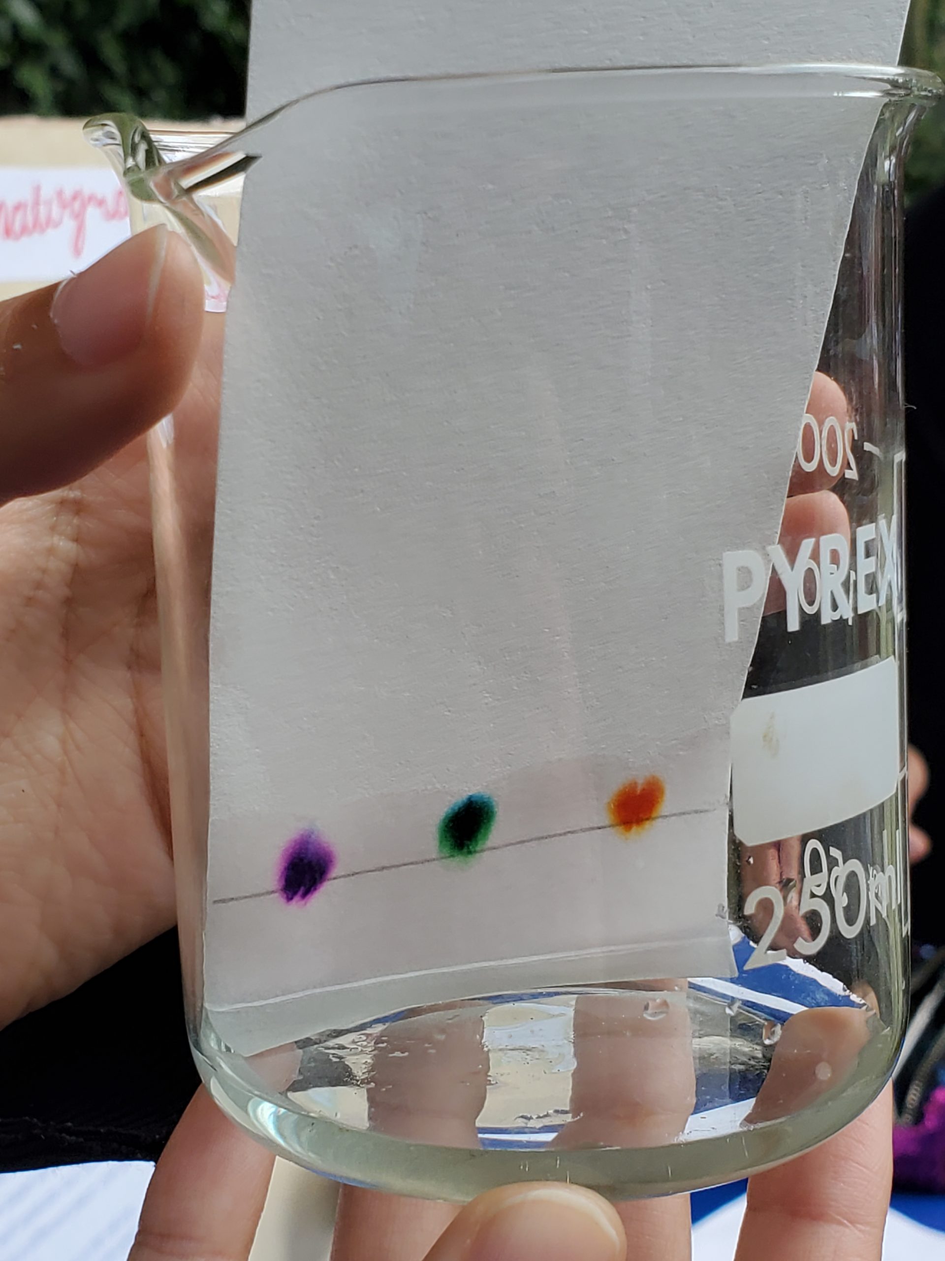 Science Day Green Oak Academy Girls' School